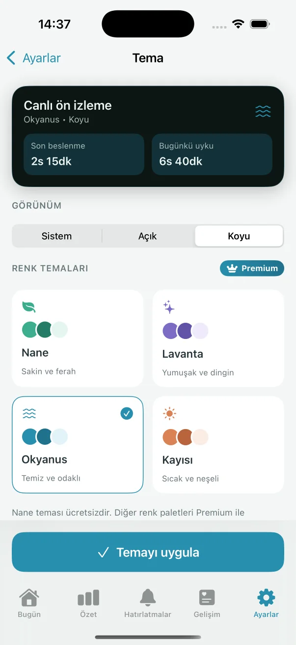 MinikRutin tema ön izleme ekranı